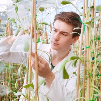 Student studying plants in glasshouse