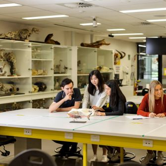 Students studying in the skeleton lab in the Biological Sciences building at UNSW Kensington Campus
