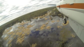 East Australian Waterbird Survey low level flying over wetland