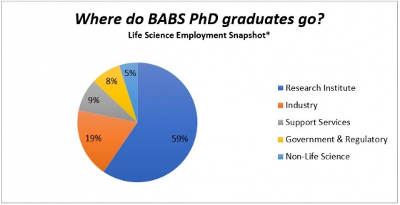 BABS graduates work across a wide range of sectors.