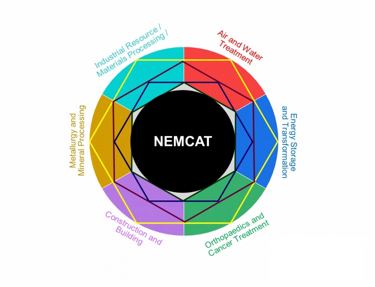 NEMCAT logo