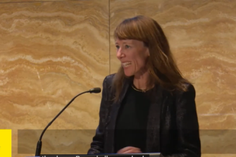 Professor Rachel Neeson presenting