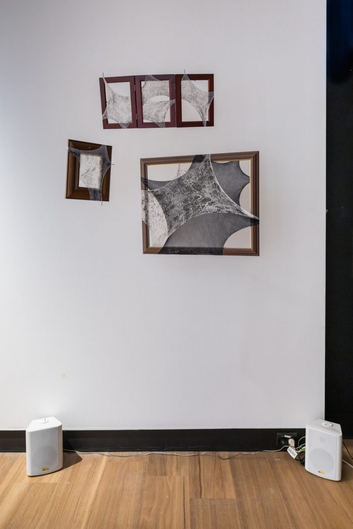 Jessie Varde's artwork for the 2026 Tim Olsen Drawing Prize