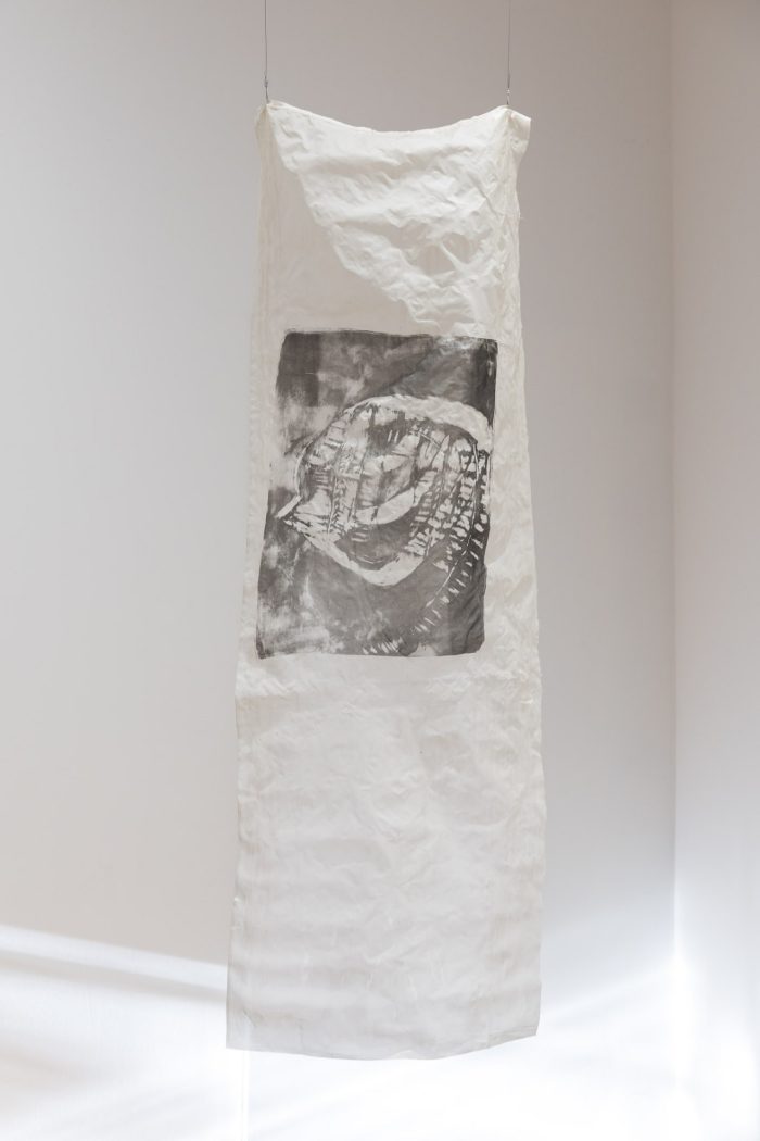 Linda Dao's artwork for the 2026 Tim Olsen Drawing Prize