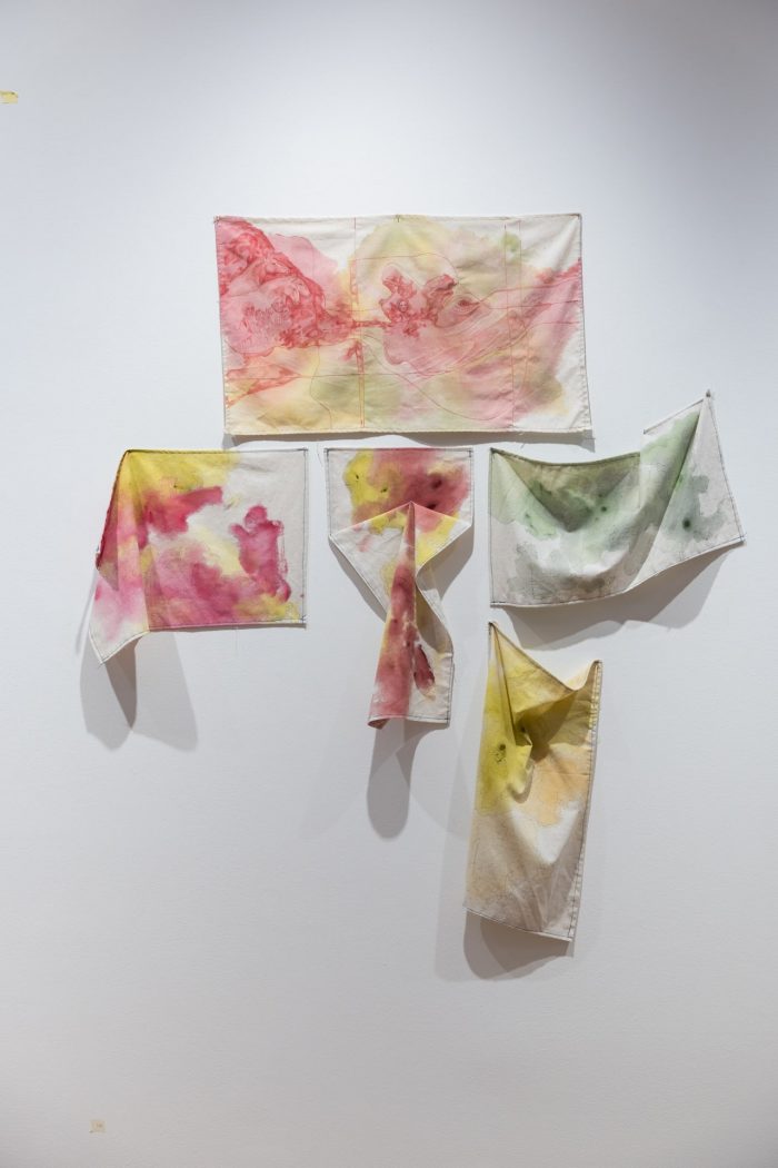 Liana Vija Berzins's artwork for the 2026 Tim Olsen Drawing Prize