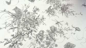 A beautiful pencil drawn depiction of 24 native Australian species, including a bilby, bandicoot, quoll, birds, insects and other creatures