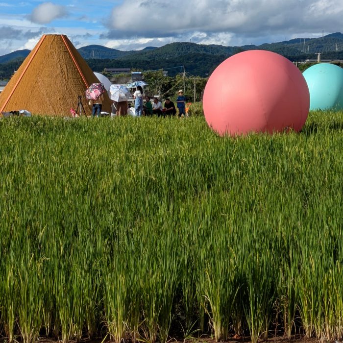 A series of large coloured spheres in a green field.