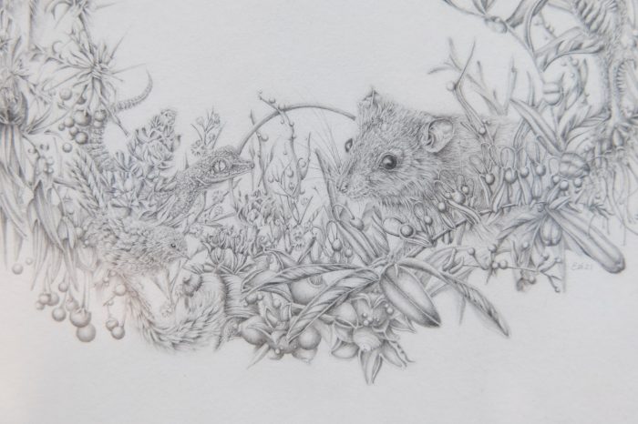 Eva Nolan, ‘Erasure’ (2021). Graphite pencil on paper, acrylic round, 32cm x 32 cm; 4k digital animation. Photograph: Anna Kucera.