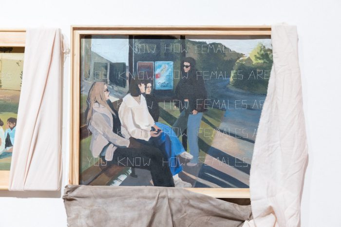 Alessia Marrocco, ‘You know how females are’ 2026. Acrylic and thread on stretched bed sheets; 3 paintings: 31cm x 41cm each.