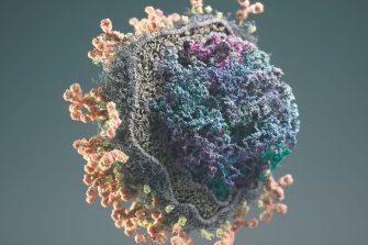 Lipid Nanoparticle Discovery