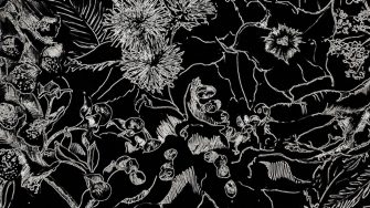 The Dose theme background