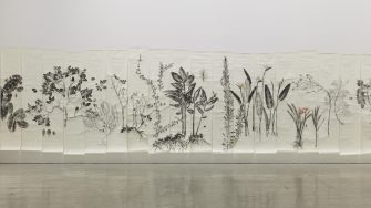 A photograph of an art installation. On a museum wall, illustrations of Australian flora are inked onto textured, cream-coloured paper. The ink is black.. 