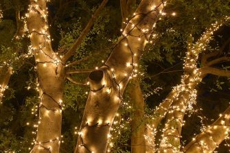 Photograph of a tree covered in fairy lights.