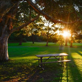 Park bench in green Sydney park at sunset