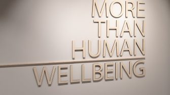A white wall is adorned with lettering spelling out "More than human wellbeing".