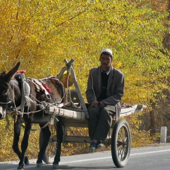 An Uyghur farmer on his way to field Kashgar XInjiang