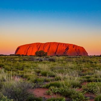 Uluru , Australia - August 21, 2016: Changing colour at sunset of Uluru, the famous gigantic monolith rock in the Australian desert. Image taken from the approved public viewing and photography area.