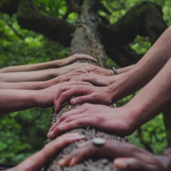 Group of hands touching tree trunk
