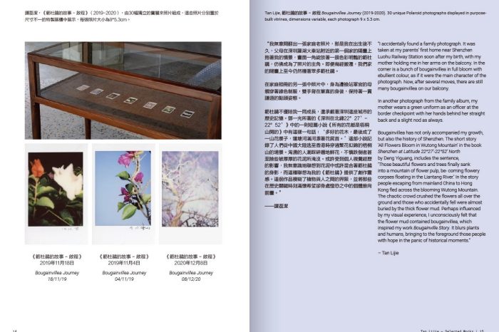 Tan Lijie Selected Works Preview 4