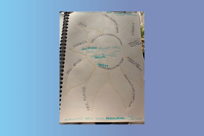 Participant, Transcendence Self Actualisation, Drawing