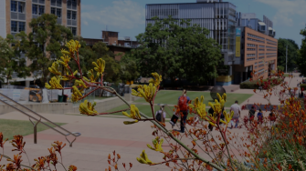 UNSW Kensington Campus shot, Kangaroo paw in for front of shot, shows main walkway campus steps leading to the Red Centre