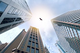 Hong Kong skyscrapers, bottom view.  Hawk soars over the tops of skyscrapers in the sunlight. Concept of secret threat to successful development. Freedom from corporate conventions