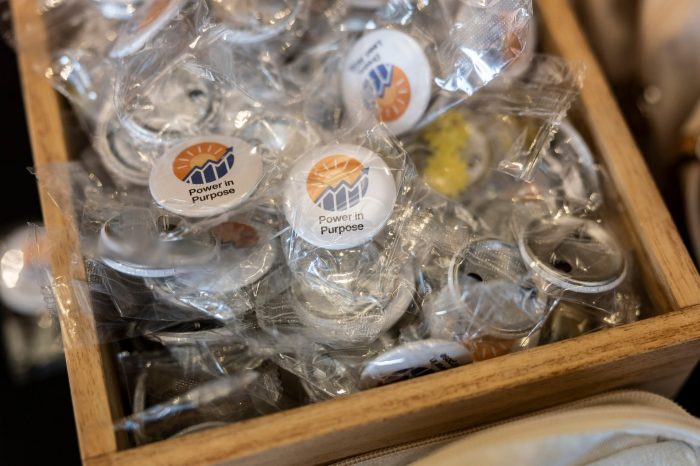 RISE Finance Lab branded badges