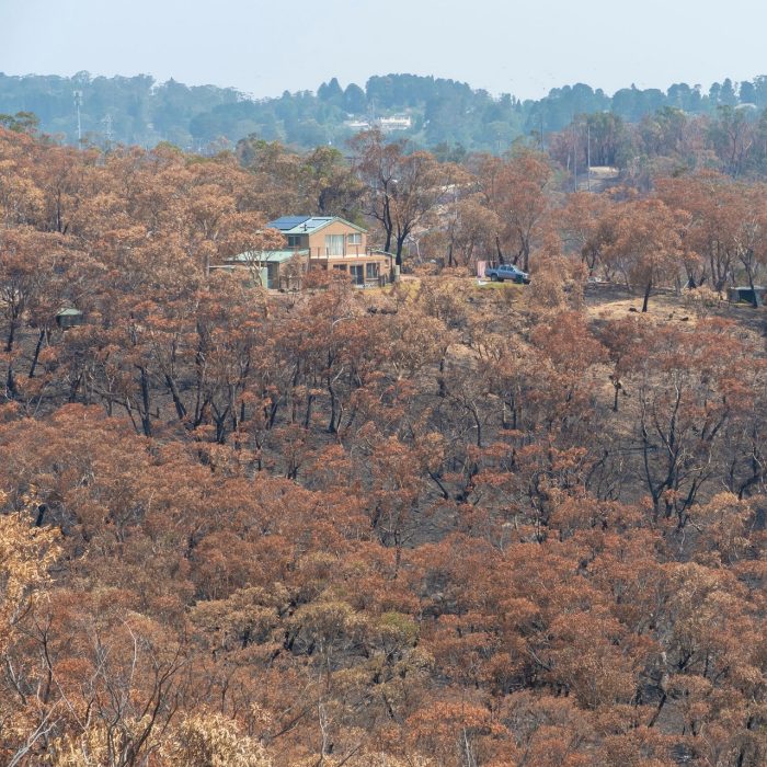 A house that survived amongst gum trees burnt in the bushfires in The Blue Mountains, Australia