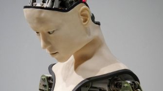 Human-like robot