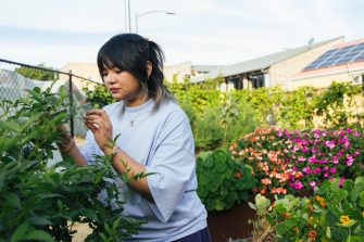 Students at the urban garden on campus