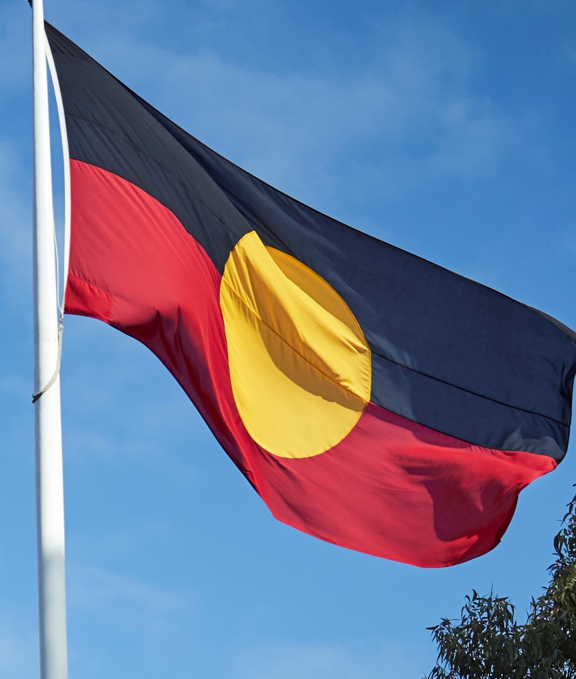 Aboriginal Flag UNSW Kensington