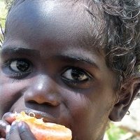 Social Determinants of Indigenous Health