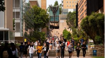 A group of people walk down the stairs on UNSW Campus