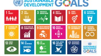 graphic of sustainable development goals