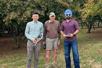 Three researchers in a hazelnut orchard
