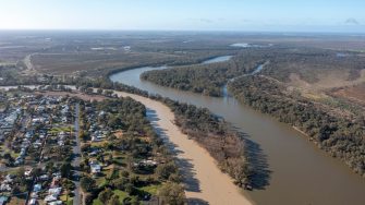 Muddy Flood waters from the  Darling river merge with the mighty Murray river at the town of Wentworth, New South Wales.