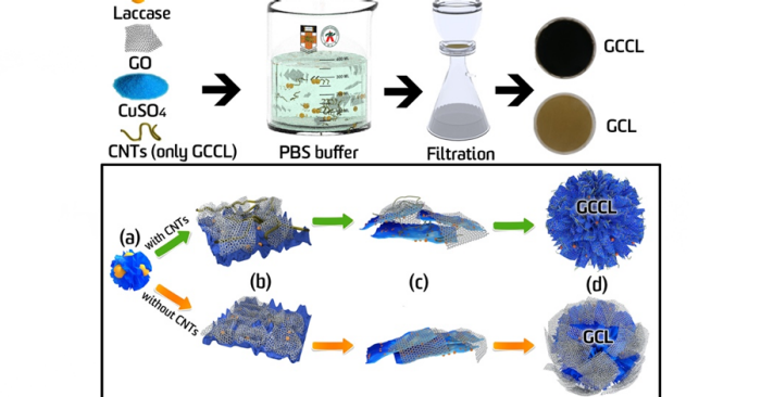 Composite biocatalytic nanoflower | UNESCO Centre for Membrane Science ...