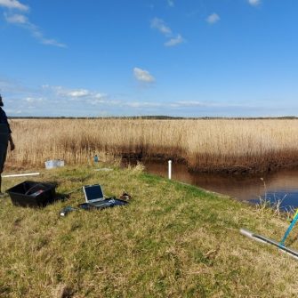Wetland restoration - UNSW Water Research Laboratory