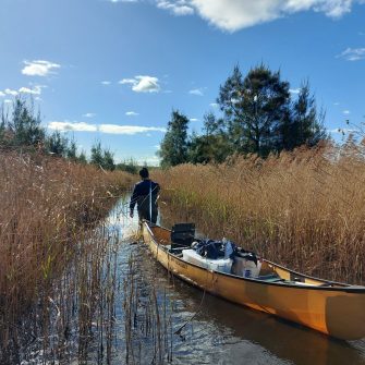 The specific challenge faced by the Tomago Wetland Restoration Project was to design and build a system that would naturally encourage saltmarsh regeneration, an ecological community in serious decline in NSW. 