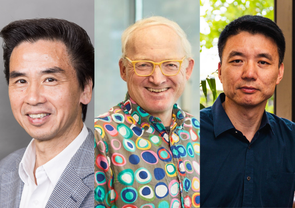 Liming Dai, Toby Walsh, Chuan Zhao