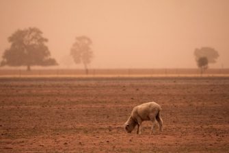 Impact of grazing on vegetation & mammal communities in Australia’s arid rangelands