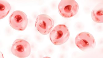 Embryonic stem cell. Human cell. 3d illustration.
