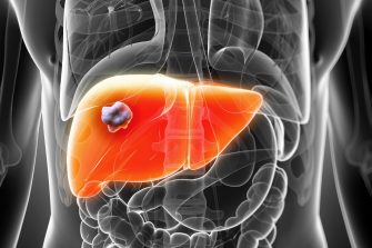3d rendered illustration of the male liver