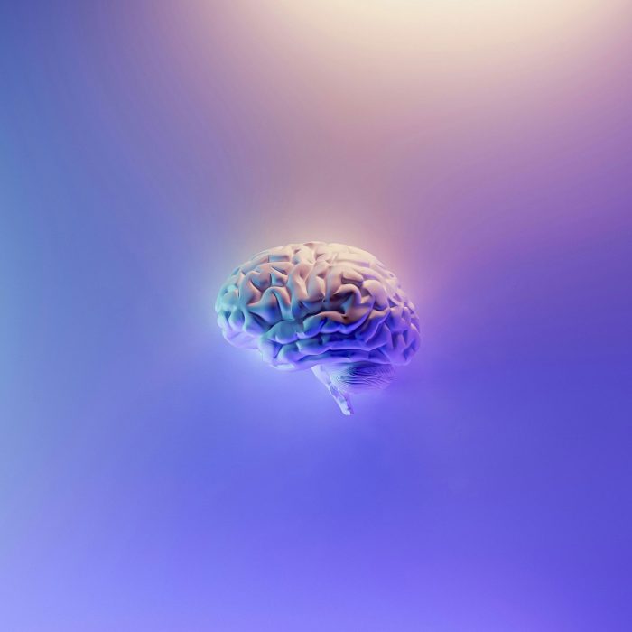 Abstract photo of a brain