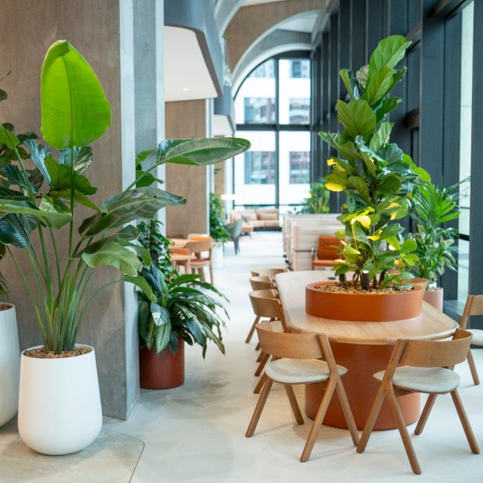 Trustworthy Digital Society Symposium 2025