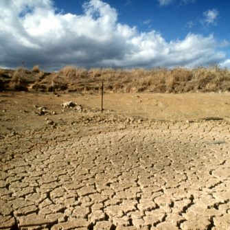 Drought affected landscape