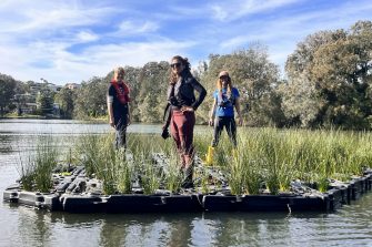 Nature positive solutions