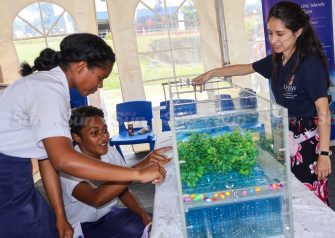 Workshops describing the effects of mangrove habitats on the environment