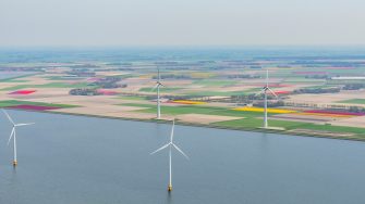 Aerial view of wind turbines on the coast in front of various colors of tulip flower field growing in The Noordoostpolder in Flevoland, The Netherlands. Each year during spring different areas in Holland are colored vividly by growing flower bulbs.
