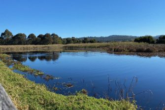 Panboola wetlands